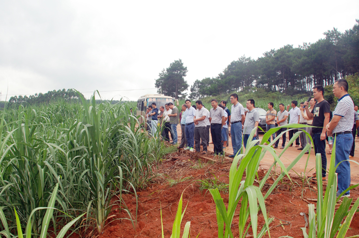 1501114786278243.jpg 中国·88858cc永利(股份)官方网站