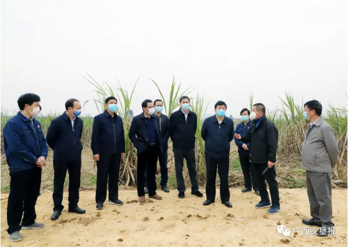 1582511442940588.jpg 1582510079(1).jpg