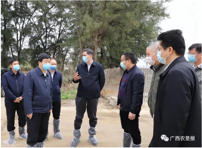 1582511457112011.jpg 1582510163(1).jpg