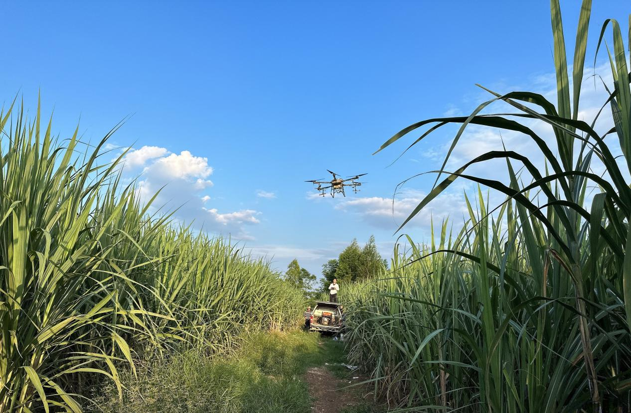 中国·88858cc永利(股份)官方网站