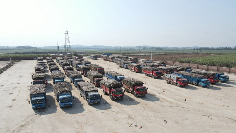 中国·88858cc永利(股份)官方网站